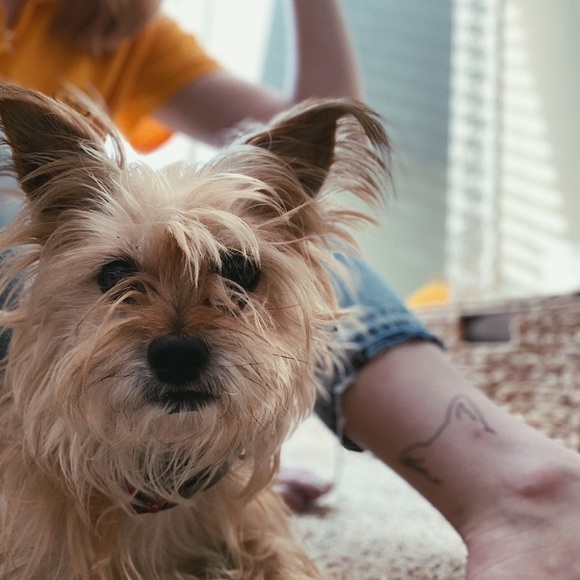 ⋒ let’s be friends ⋒ - Picture 4 of 7